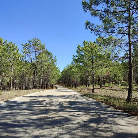 Дом отдыха Surya's Патаяш