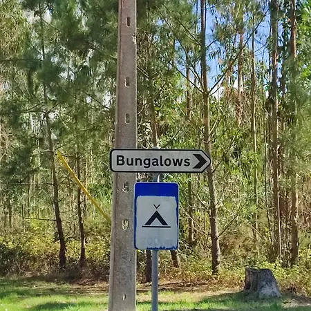 Surya's Патаяш