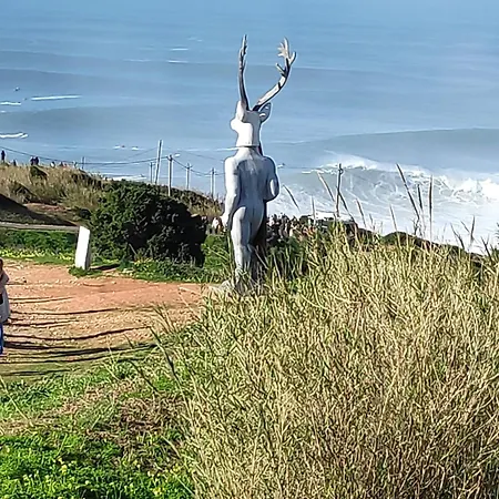 Surya's * Патаяш