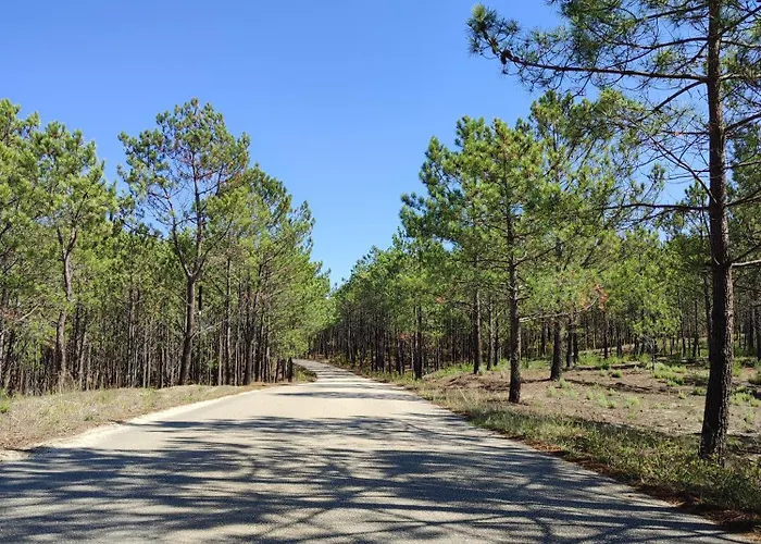 Casa vacanze Surya's Pataias